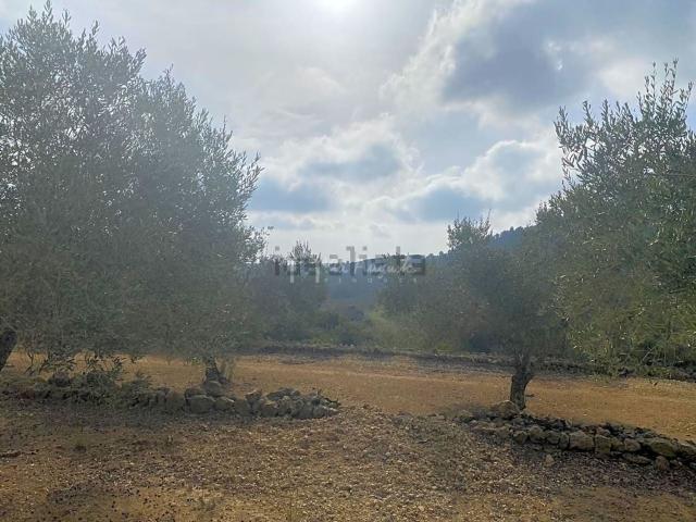 Terreno en venta en Baix Ebre, Catalunya