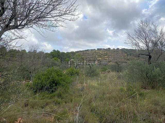 Terreno en venta en Baix Ebre, Catalunya