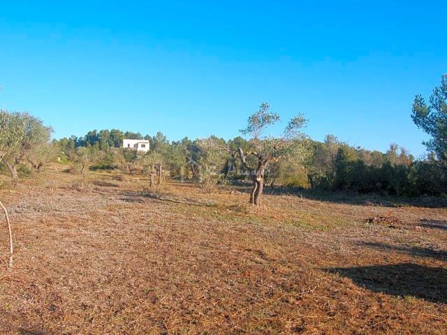 Terreno en venta en Baix Ebre, Catalunya