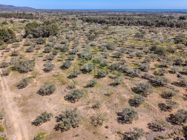 Terreno en venta en el Perelló, Tarragona