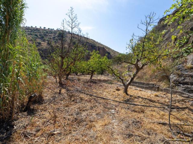 Terreno en venta en Comarca del Valle de Lecrín, Andalucía