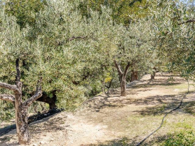 Terreno en venta en Pinos del Valle, Comarca del Valle de Lecrín