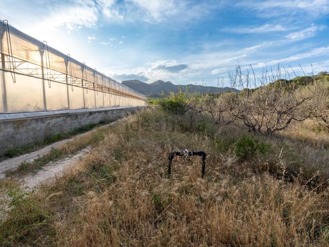 Terreno en venta en Terra Alta, Catalunya