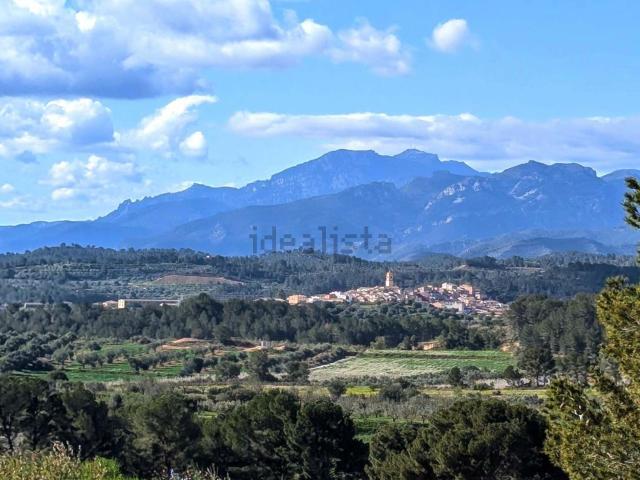 Terreno en venta en el Pinell de Brai, Tarragona