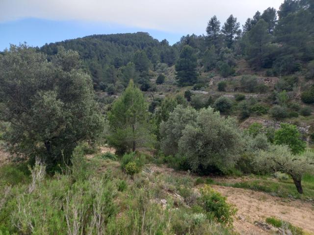 Terreno en venta en Terra Alta, Catalunya