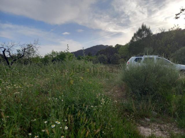 Terreno en venta en Terra Alta, Catalunya