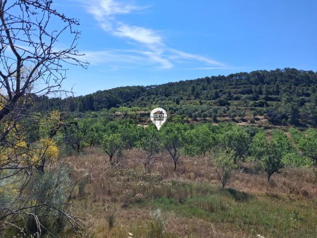 Terreno en venta en el Pinell de Brai, Tarragona