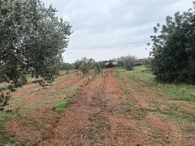 Terreno en venta en Alt Camp, Catalunya