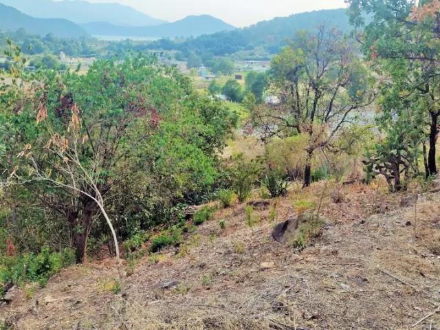 Terreno en venta en Jacala De Ledezma, Hidalgo
