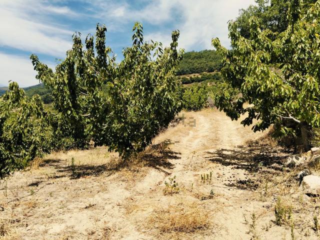 Terreno en venta en El Torno, Extremadura