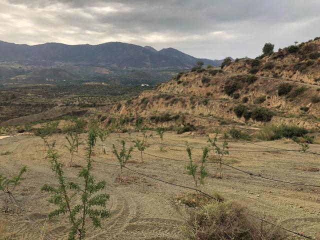 Terreno en venta en Restábal, El Valle