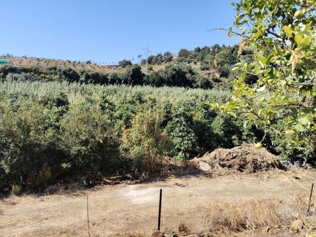 Terreno en venta en El Velerín, Estepona