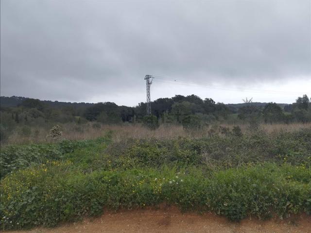 Terreno en venta en el Puig, Baix Penedès