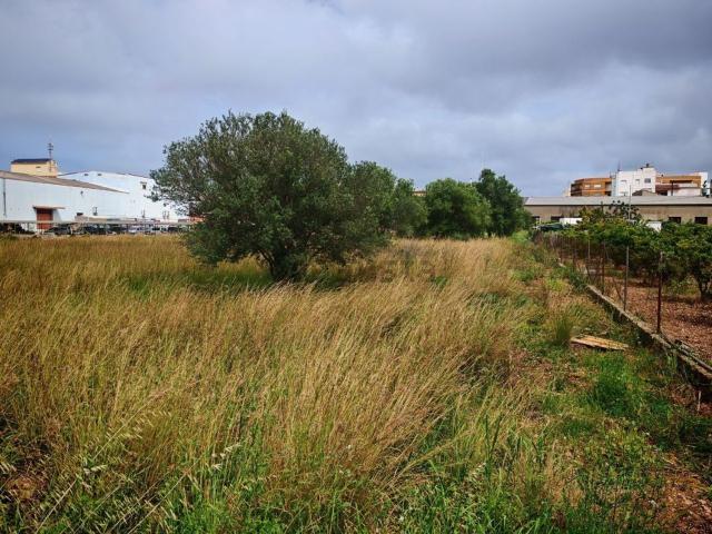 Terreno en venta en la Marina Alta, Valencia