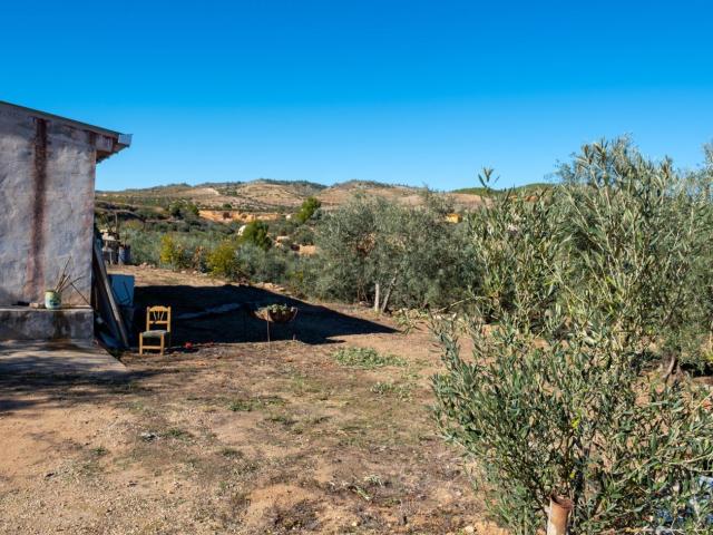 Terreno en venta en Elche De La Sierra, Castilla-La Mancha
