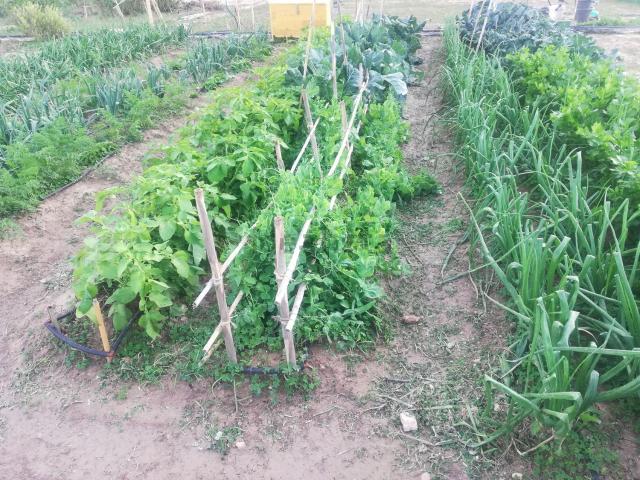 Terreno en alquiler en Perleta, el Baix Vinalopó