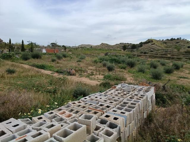 Terreno en venta en el Baix Vinalopó, Valencia