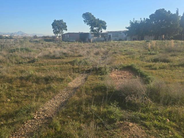 Terreno en venta en el Baix Vinalopó, Valencia
