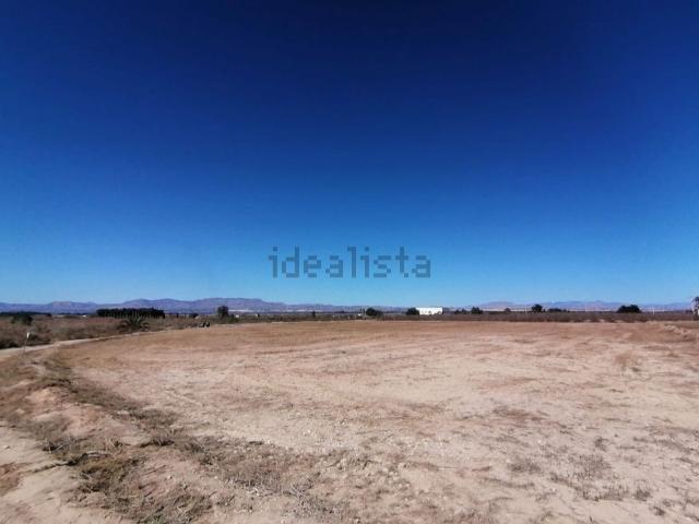 Terreno en alquiler en Daimes, el Baix Vinalopó