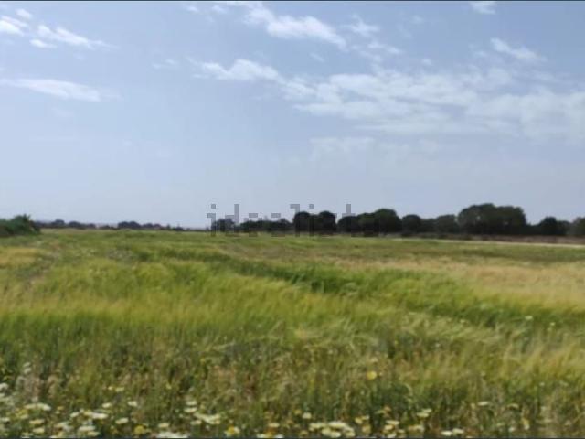 Terreno en venta en Vallverda, el Baix Vinalopó