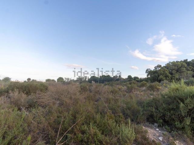 Terreno en venta en Urbanización Campomar, Elx / Elche