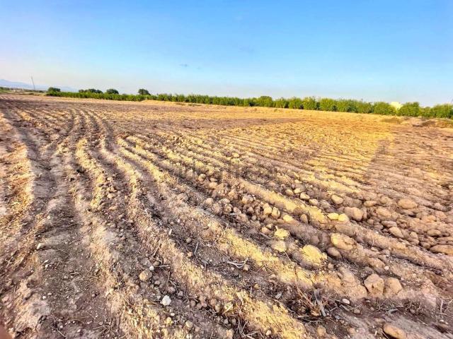 Terreno en venta en Elx / Elche, Alacant / Alicante