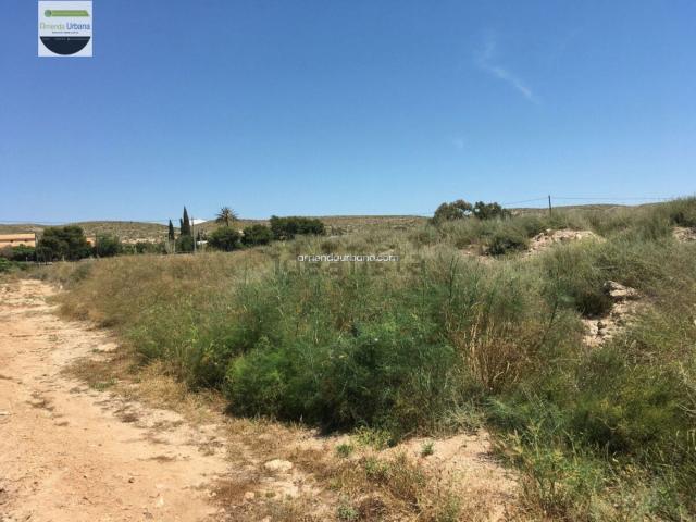 Terreno en alquiler en Jubalcoi, el Baix Vinalopó