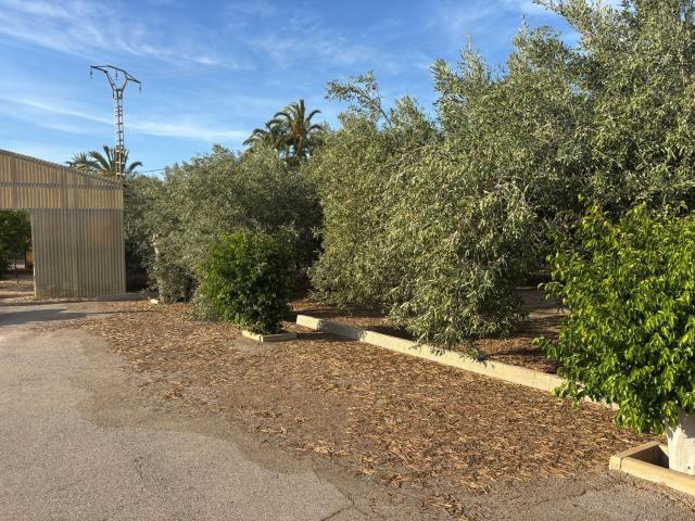 Terreno en venta en Maitino, el Baix Vinalopó