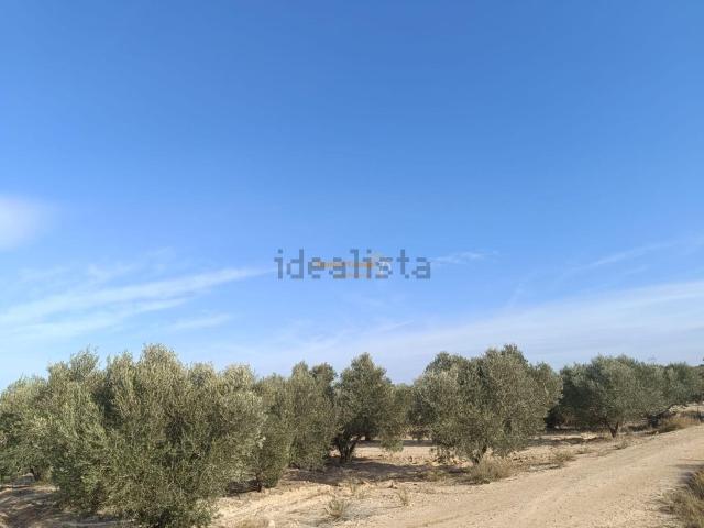 Terreno en venta en el Baix Vinalopó, Valencia