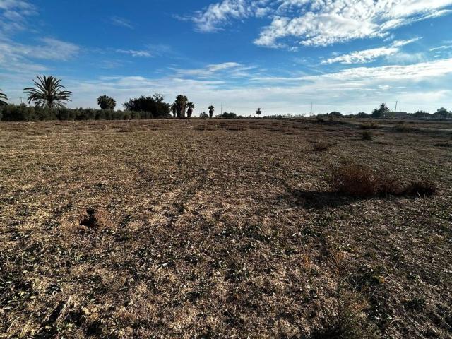 Terreno en venta en la Marina, el Baix Vinalopó