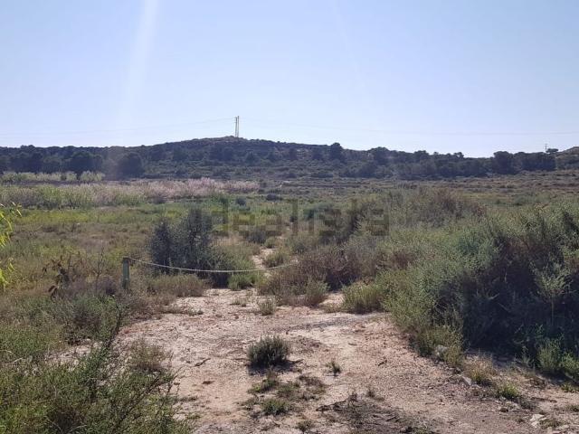 Terreno en venta en Torrellano, el Baix Vinalopó