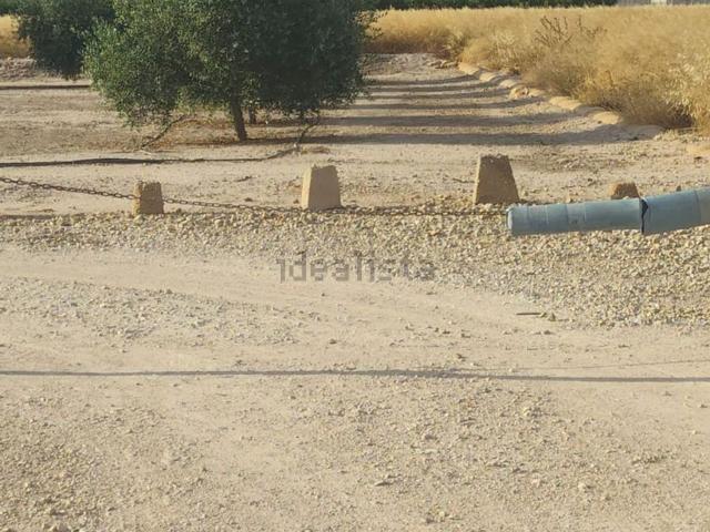 Terreno en venta en la Foia, el Baix Vinalopó