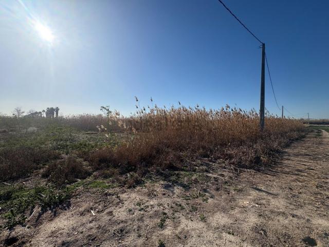 Terreno en venta en el Baix Segura / La Vega Baja, Valencia