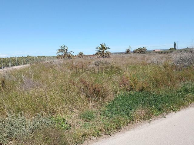 Terreno en venta en les Baies / Las Bayas, el Baix Vinalopó