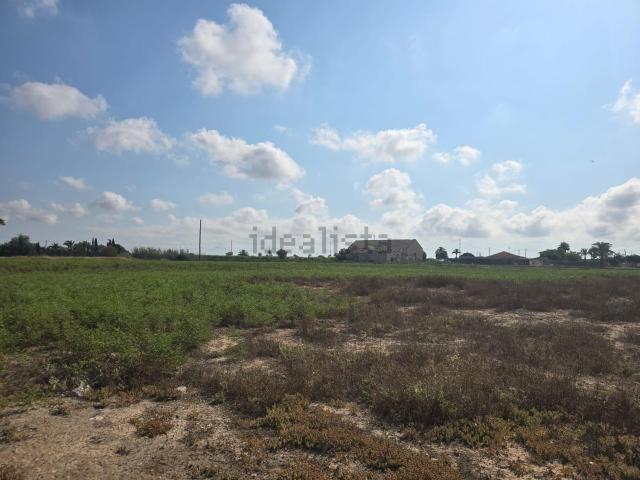 Terreno en venta en Vallverda, el Baix Vinalopó