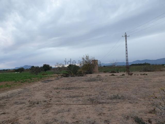 Terreno en venta en el Baix Vinalopó, Valencia