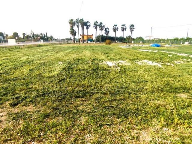 Terreno en venta en el Derramador, el Baix Vinalopó