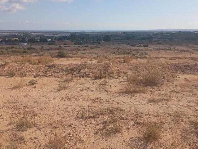 Terreno en alquiler en el Baix Vinalopó, Valencia