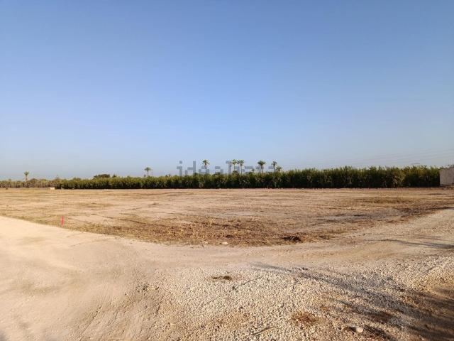 Terreno en venta en la Foia, Elx / Elche