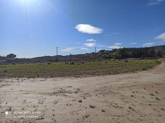 Terreno en alquiler en el Baix Vinalopó, Valencia
