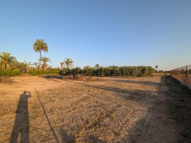 Terreno en venta en Daimes, el Baix Vinalopó