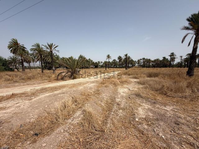 Terreno en venta en el Baix Vinalopó, Valencia
