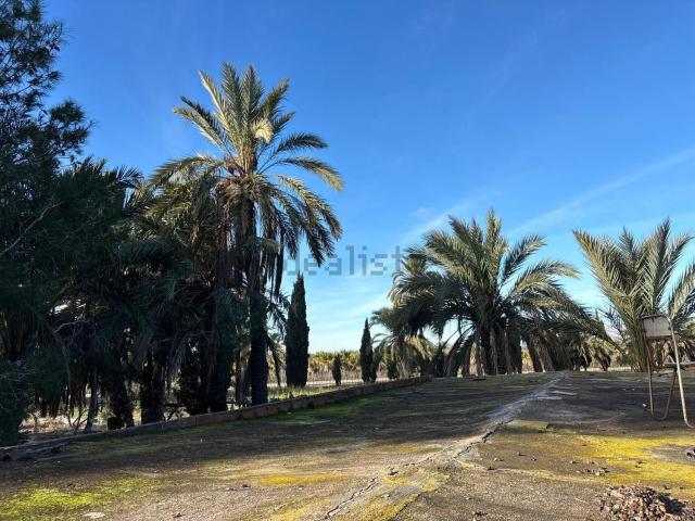 Terreno en venta en Puçol, el Baix Vinalopó