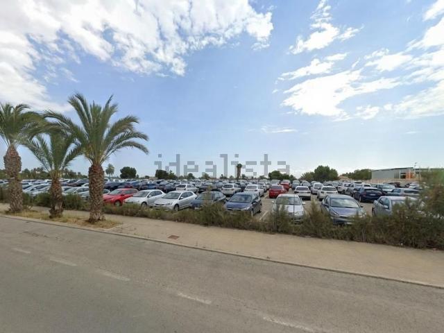 Terreno en alquiler en Atzavares, el Baix Vinalopó