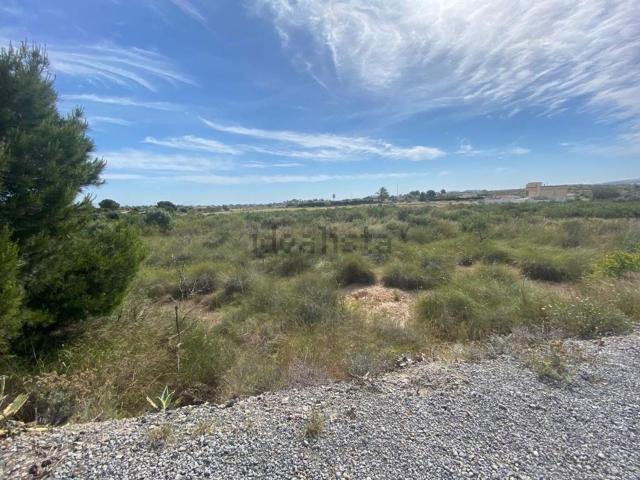 Terreno en venta en els Bassars, el Baix Vinalopó