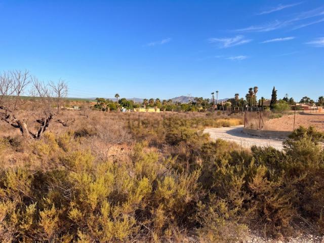 Terreno en venta en el Baix Vinalopó, Valencia