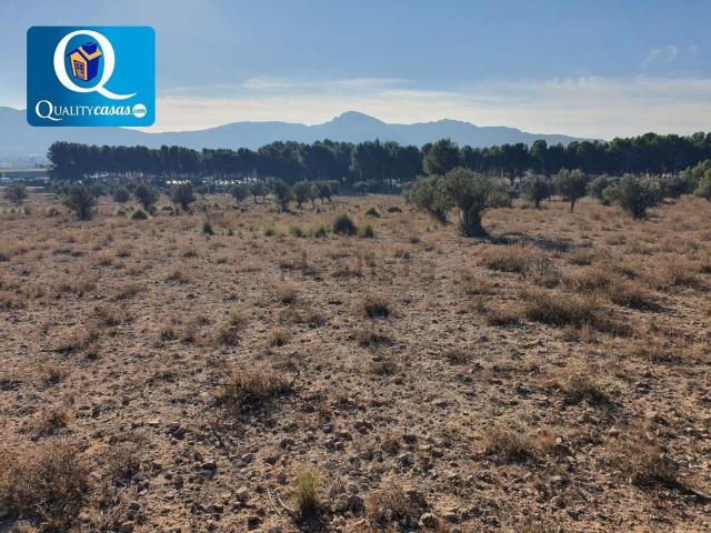 Terreno en venta en el Vinalopó Mitjà / El Vinalopó Medio, Valencia