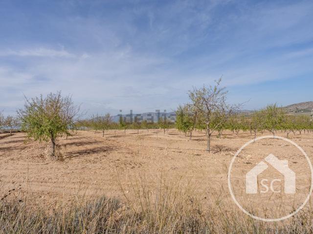 Terreno en venta en Elda, Alacant / Alicante