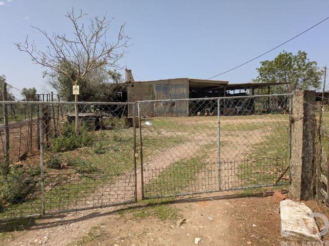 Terreno venda em Estremoz, Évora