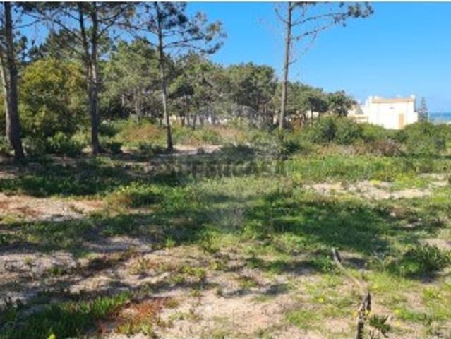 Terreno venda em A dos Cunhados, Torres Vedras